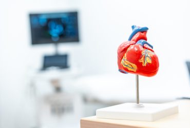 Mockup of a heart in a cardiology clinic, copy and paste space. Clinics for patients to treat health problems with the heart or cardiac